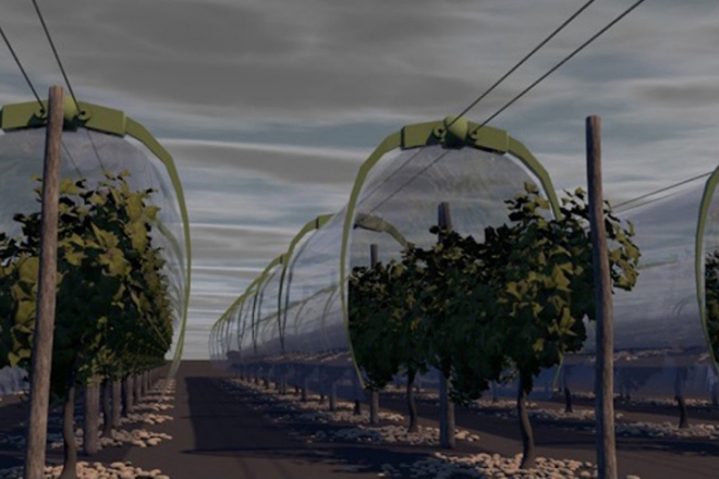 Viti-Tunnel – a jövő növényvédelmi rendszere?