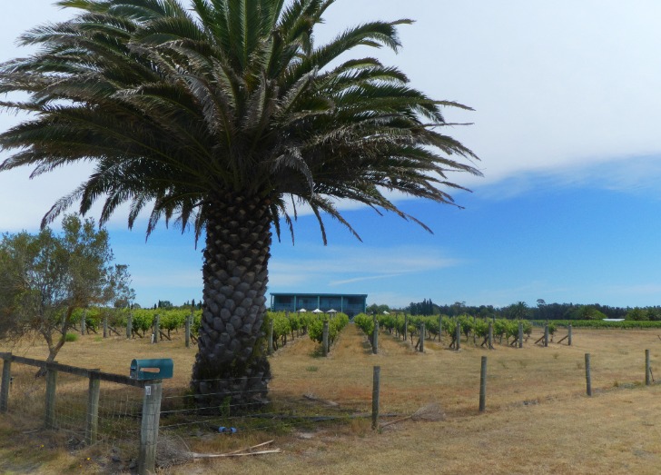 Hawke's Bay – Új-Zéland gyümölcsöskertje