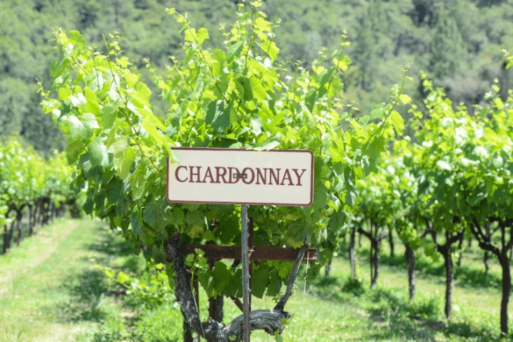A chardonnay magyar arcai A chardonnay magyar arcai