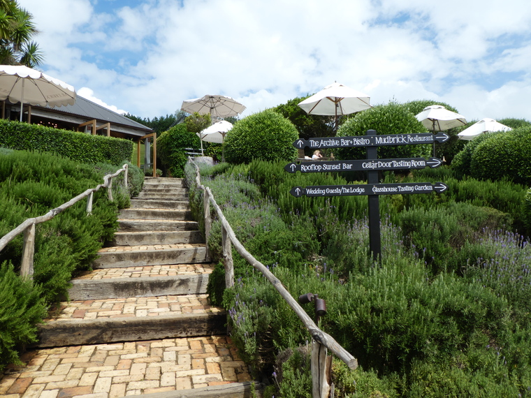 Waiheke: egy sziget a borok óceánjában Waiheke: egy sziget a borok óceánjában