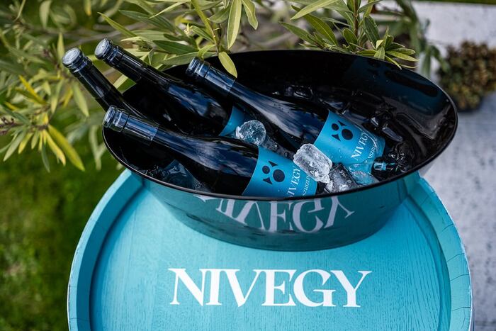 Új közös védjegyű bor született a Nivegy-völgy szívében