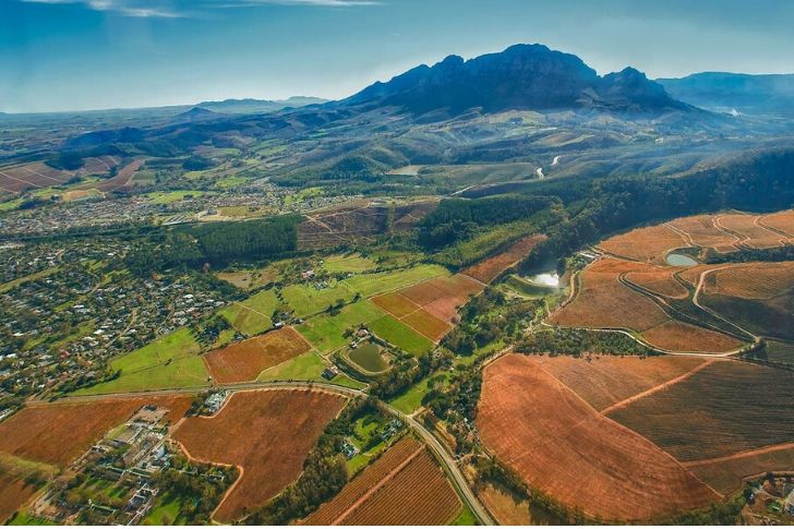 Az egyik legfontosabb újvilági bortermelő ország: Dél-Afrika
