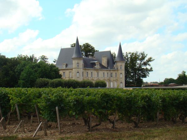 Új szőlőfajta születik Bordeaux-ban?