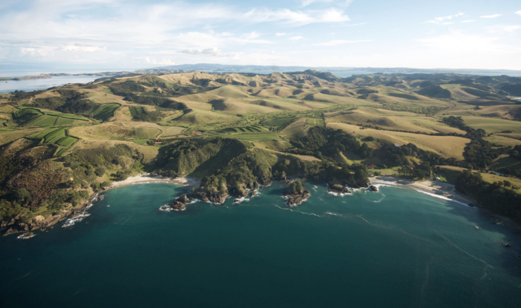 Waiheke: egy sziget a borok óceánjában Waiheke: egy sziget a borok óceánjában