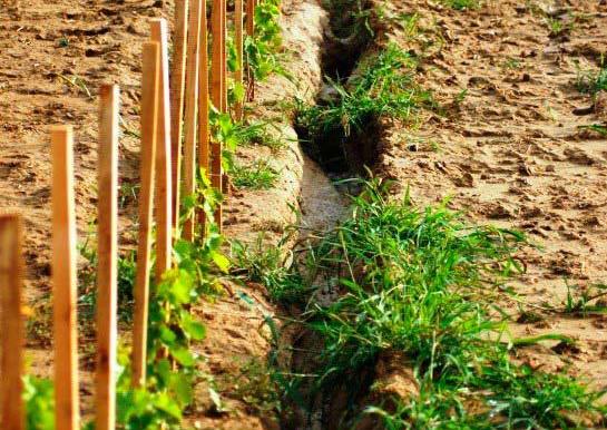 Klímaváltozás és erózió: így pusztul a talaj Tokaj dűlőin