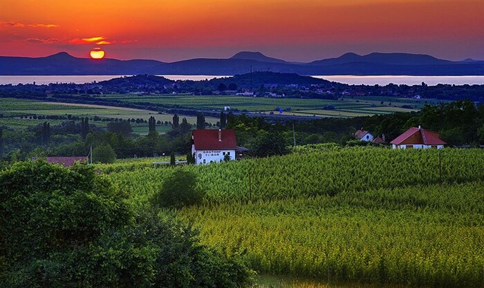 Legendás dűlők Magyarországon