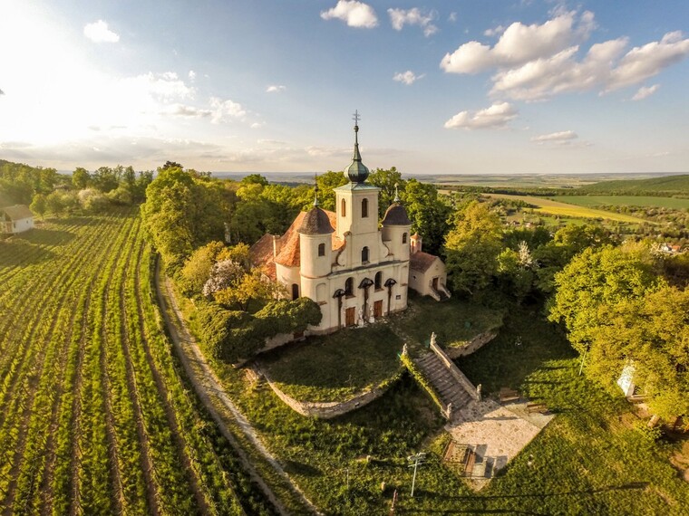 A dűlők titkai: hogyan születik egy borvidék jövője? – új, ígéretes OEM-ek