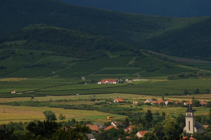 Életpálya-program, közösségi borüzem, állami földalap készül Tokajban
