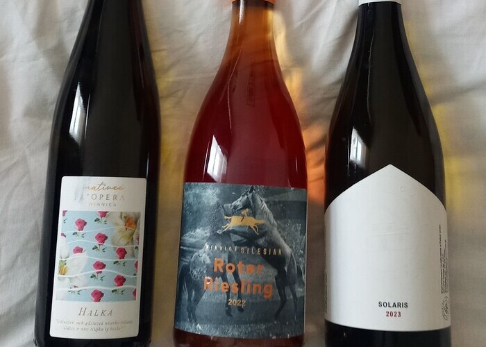 Lengyelország borai: új fejezet a borvilágban