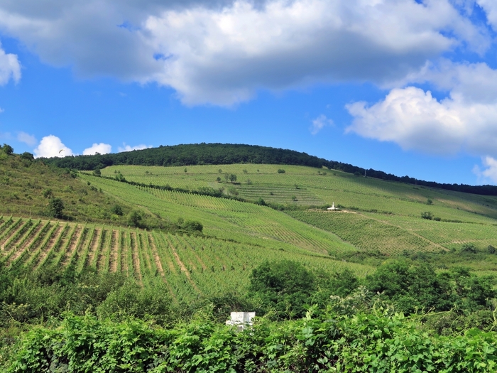 Legendás dűlők Magyarországon