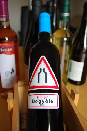 Bogyólé
