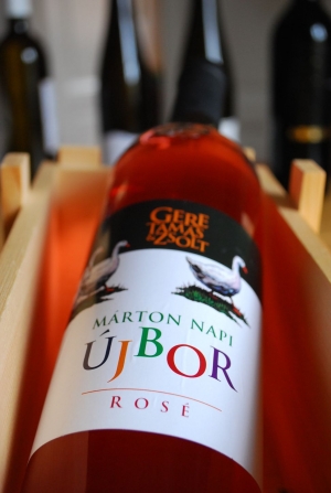 Márton Napi Újbor - Rosé