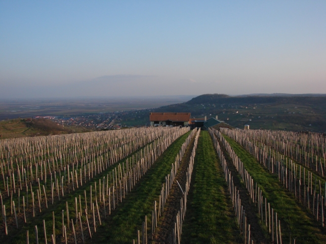 A kadarkának tiszta lap kell