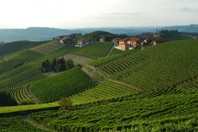 Ételbarát olasz borok: most kóstoltuk