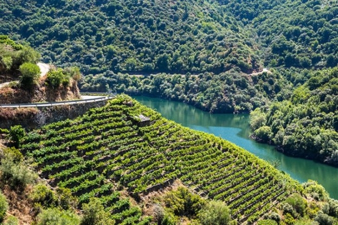 A spanyol kakukktojás: Galicia A spanyol kakukktojás: Galicia