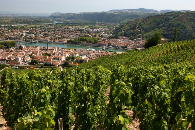 A Rhòne-völgye: bortörténet, régiók és borok