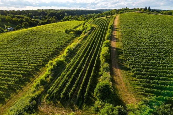 Legendás dűlők Magyarországon