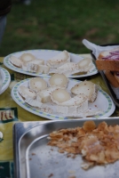 Etyeki Kezes-lábos 2008.