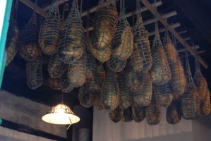 Etyeki Kezes-lábos 2008.