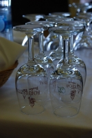 Jegyzetek a Boregyetemről