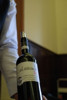 Jegyzetek a Boregyetemről