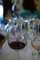 Jegyzetek a Boregyetemről