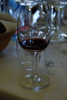 Jegyzetek a Boregyetemről