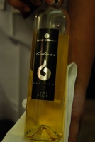 Jegyzetek a Boregyetemről