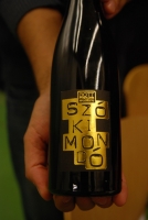 Bott Frigyes és Maurer Oszkár