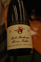 Bott Frigyes és Maurer Oszkár