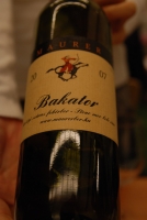 Bott Frigyes és Maurer Oszkár