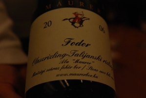 Bott Frigyes és Maurer Oszkár