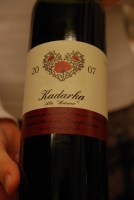 Bott Frigyes és Maurer Oszkár