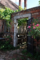 Egy borász-szakács Fertőrákosról (1. rész)