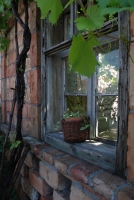 Egy borász-szakács Fertőrákosról (1. rész)