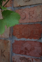 Egy borász-szakács Fertőrákosról (1. rész)