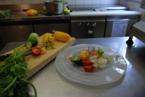 Egy borász-szakács Fertőrákosról (1. rész)