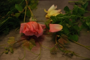 Egy borász-szakács Fertőrákosról (1. rész)