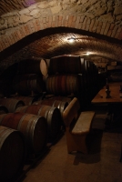 Egy borász-szakács Fertőrákosról (1. rész)