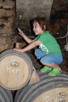 Egy borász-szakács Fertőrákosról (1. rész)