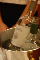 Argentín borkóstoló