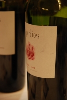 Argentín borkóstoló