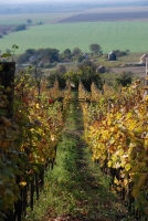 Első születésnapunk