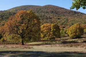 Első születésnapunk