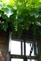 Első születésnapunk