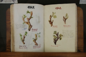 Első születésnapunk