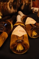 Sopron borvidéki kóstoló