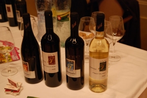 Sopron borvidéki kóstoló