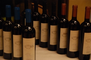 Sopron borvidéki kóstoló