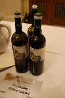 Bott Frigyes kóstoló Komáromban